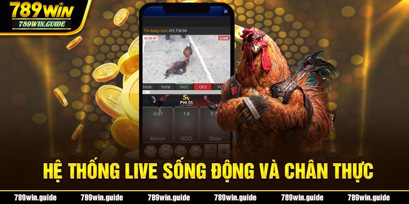 Hệ thống live sống động và chân thực