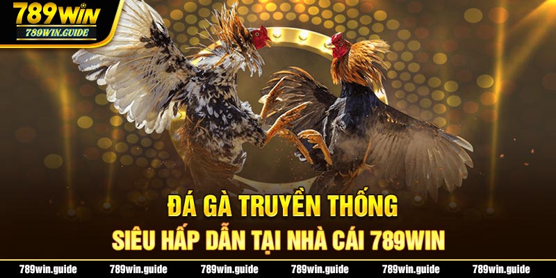 Đá gà truyền thống siêu hấp dẫn tại nhà cái 789Win